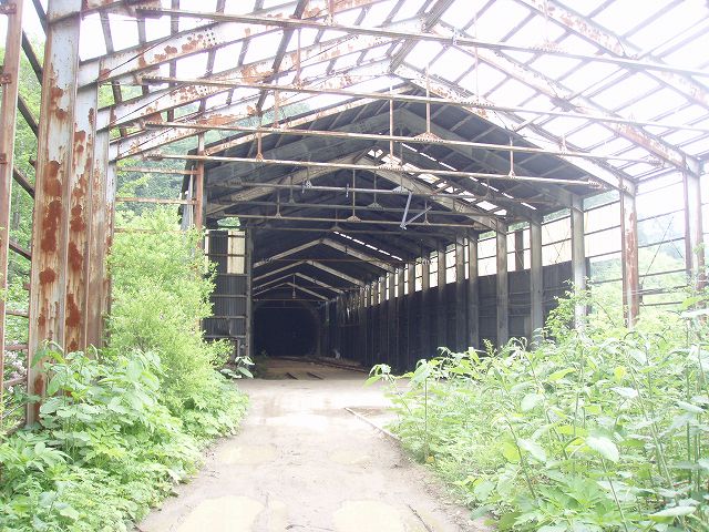 �����̈�\�������c��