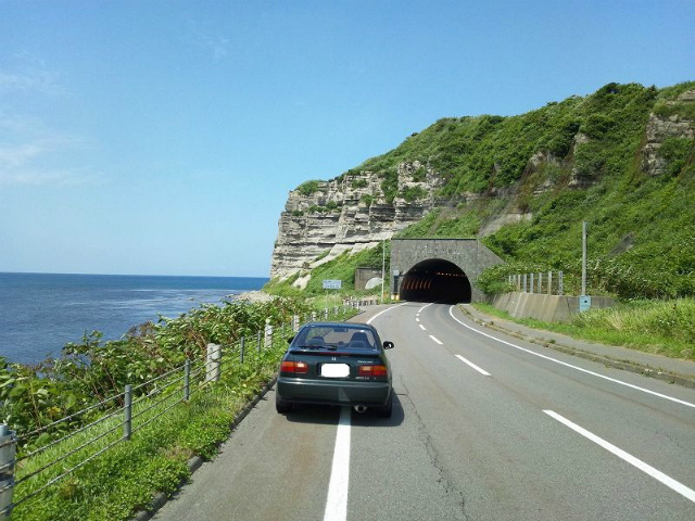 ����229�������䂭