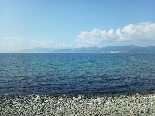 �����Ɍ��q�͔��d����������