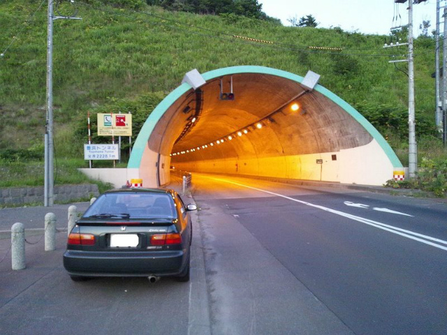 �V�����@��ꂽ�A���s�̖L�l�g���l��