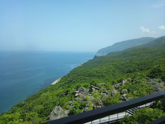 �W�]�䂩�痯�G���ʂ𒭂߂�