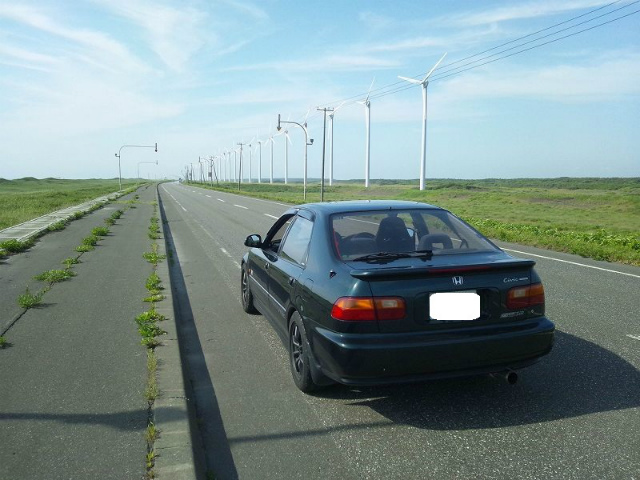 ���Ԃ������Ă���悠���肪���̓��̃n�C���C�g