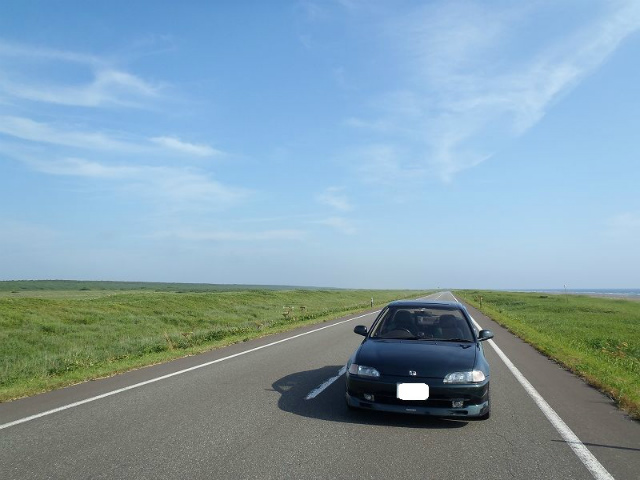 ����̒��ɓ����꒼���ɐL�сA�]�v�Ȃ��͉̂�������