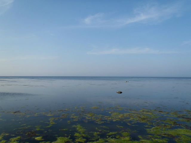 �T�n�����͌����Ȃ�����