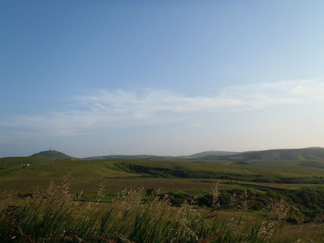 �@�J�u�˂̕��i