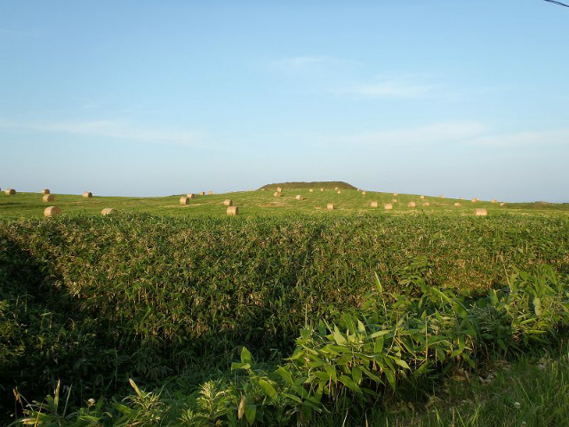 �F�����[���̞�F�ɐ��܂�