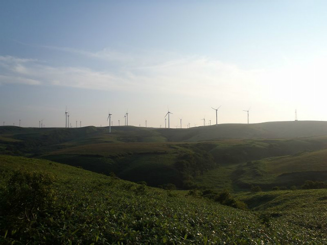 ���������т�������