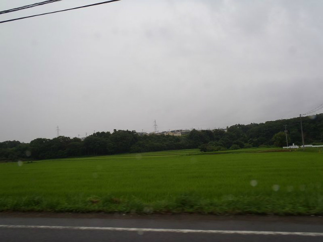 �s���𔲂��ď�������΂��̒ʂ�̓c�����i