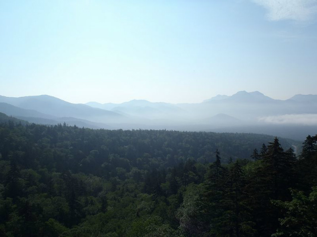 ���̕t�߂͎��C����ʂɍL����