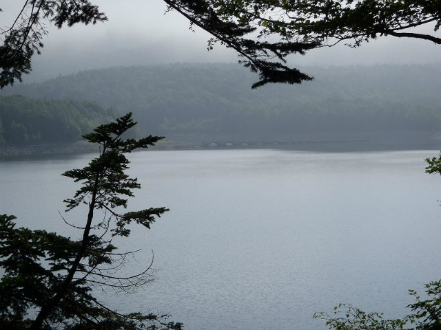 �f���ΑΊ݂̃A�[�`���́A�����ɂ���Č΂ɒ���