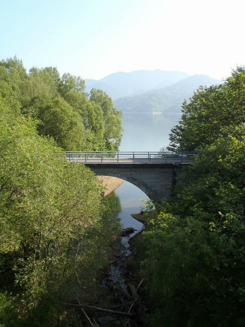 �����ɂ������̓S�������c��