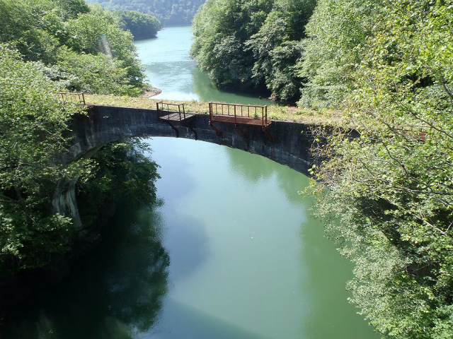 ����܂��S�����@���z�w�I�ɂ��M�d�炵��