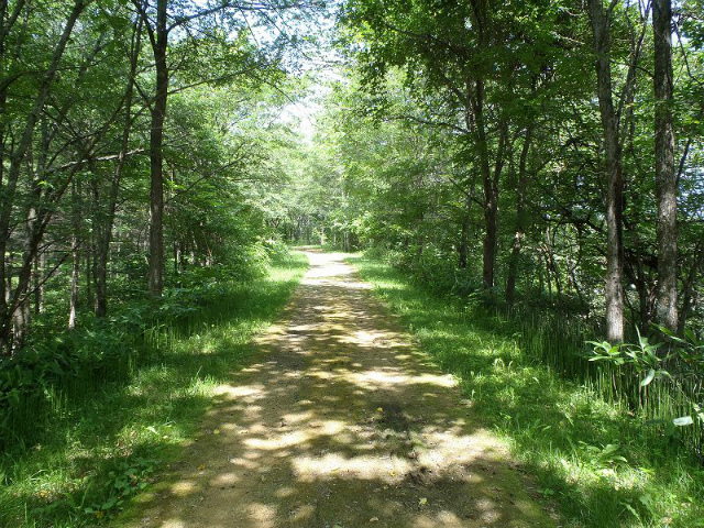 �p���Ղ͗V�����ɂȂ��Ă���