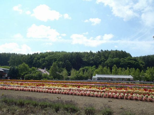 �x�X�g�V�[�Y�������Ɋό��q����������