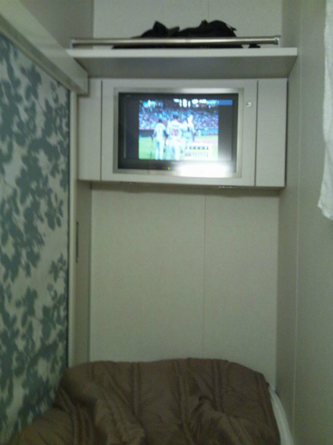 �Q��ɂ̓e���r�������