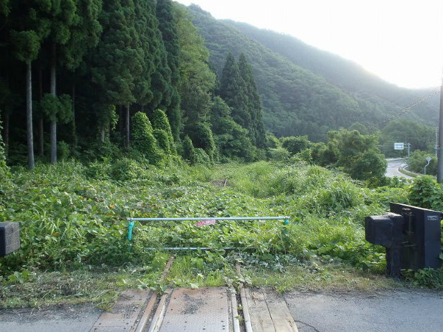 ������̔p����