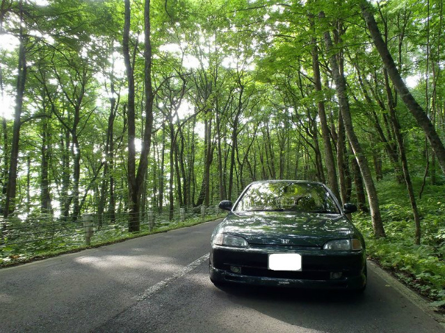 �{�f�B���΂Ȃ����ɁA�؁X�̒����������Ǝv��