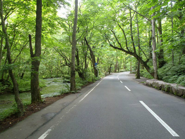 �؁X�̗΂Ɛ��񂾐����Y��