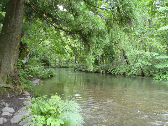 �k�������̃E�H�[�L���O���y������