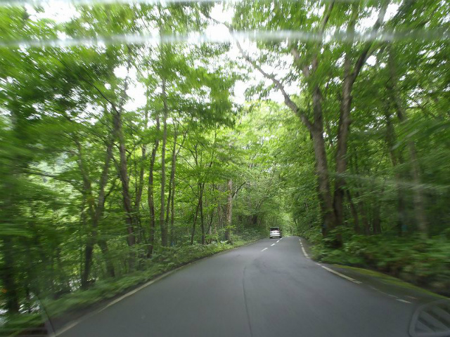 ���������؁X�̒��𑖂�