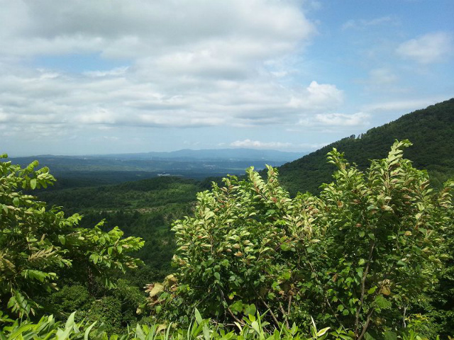 ��؎R�W�]������̒���