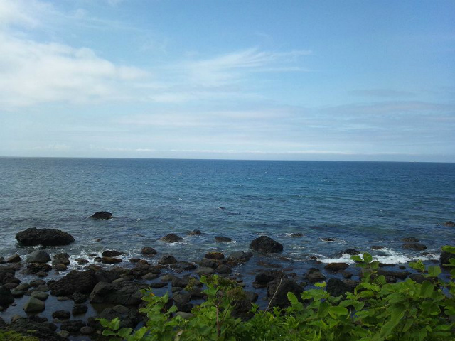 �E��ɂ�������k�C����������