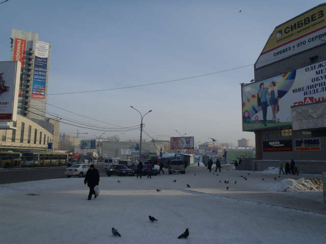 �w�O�̕��i