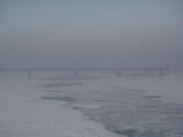 �V�x���A�S���̋�