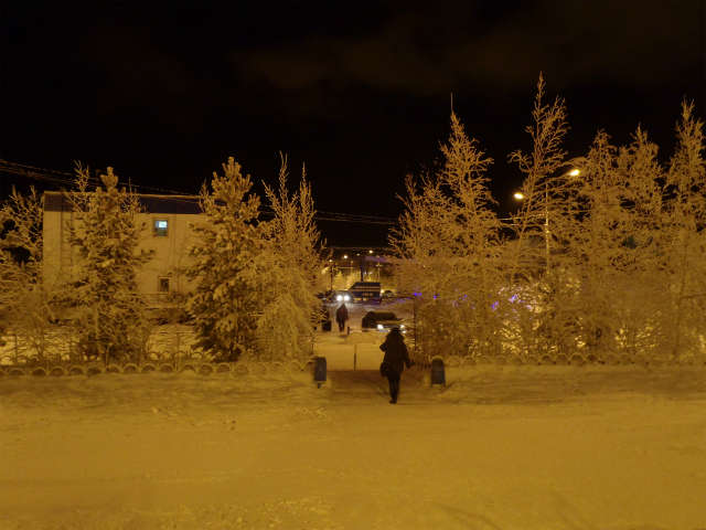 ��`���ʂ���B�e