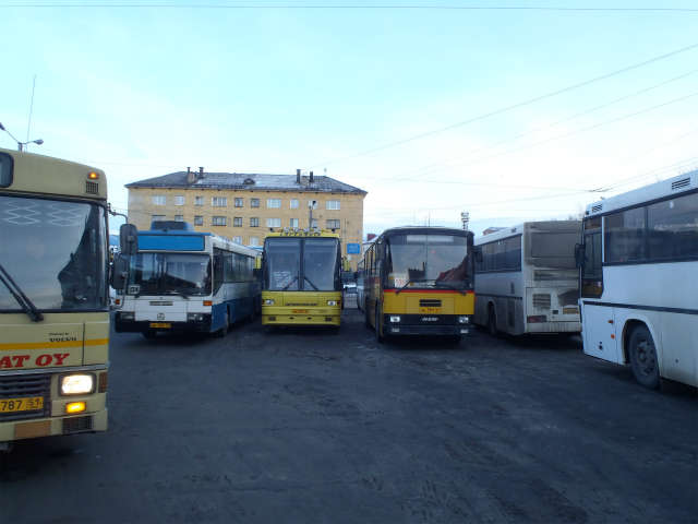 �Ԏ���h�����G���ȃo�X�Q