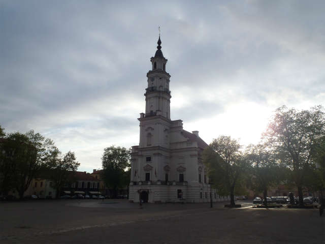 ����̂悤�ȋ��s����