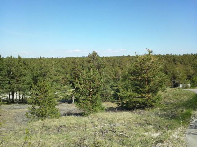 ���B�̏�Ƃ͎v���Ȃ����i