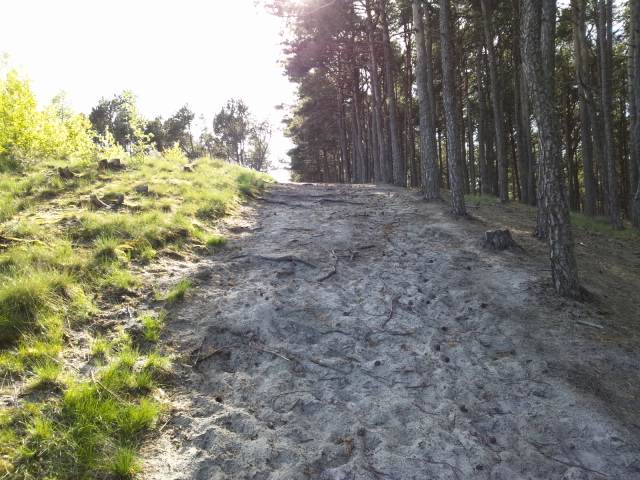 ���ɑ�������Ȃ���o��