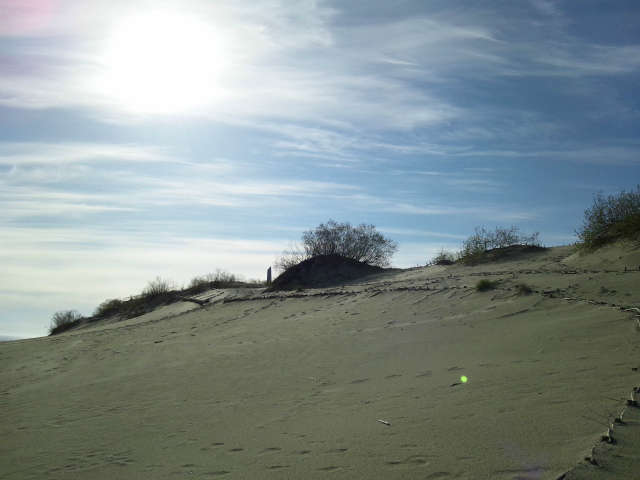 �r���Ƃ������̐��E