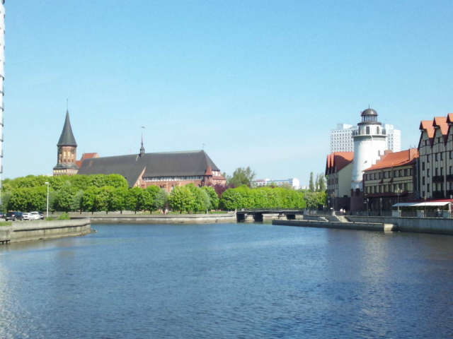 ���F�Ɍ��Ă�ꂽ�吹���������Ă���