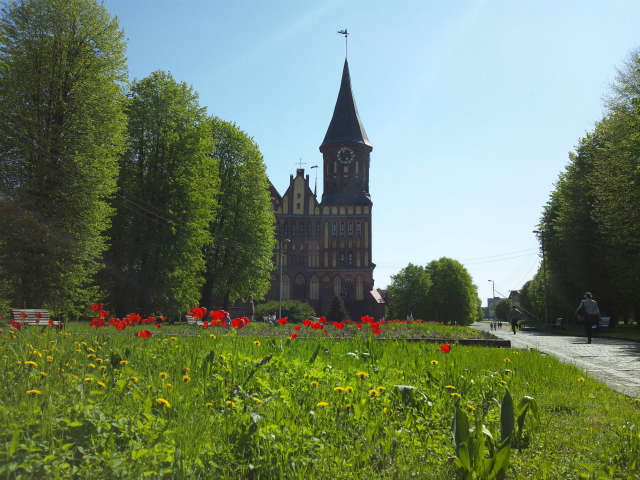 �����O�̉Ԓd����