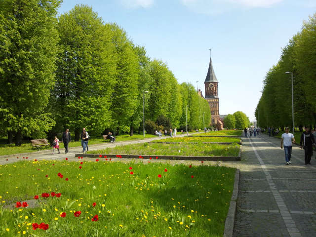 �Ăё吹����