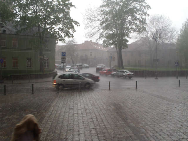 �܂��܂��y���~��