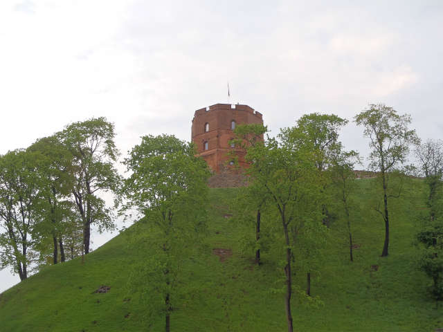 �Q�e�B�~�i�X����ڎw����