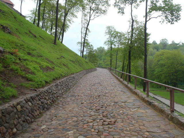 �Ώ�̍⓹��o��