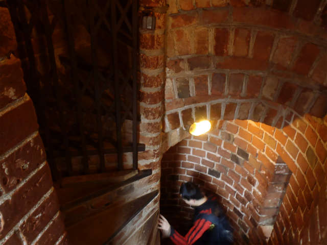 �T���C���ŊK�i������Y���Ǝ�