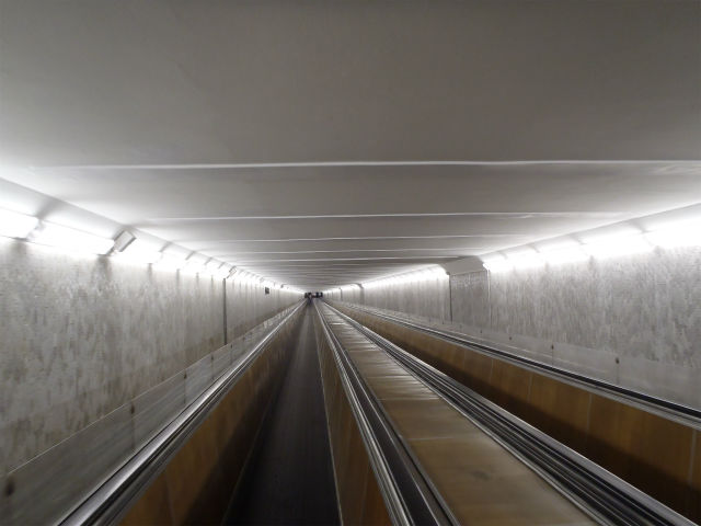 �n���S�w�̂悤