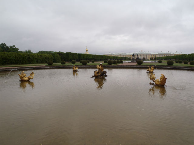 �V�C�������̂��c�O