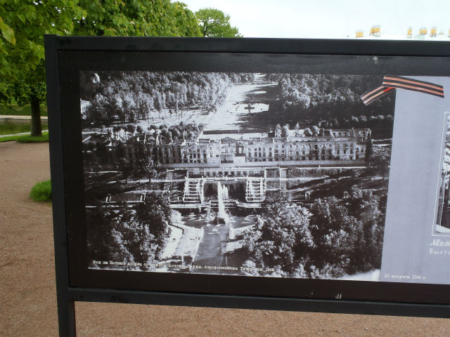 ���܂�ɔߎS�Ȕp�Ђ̎ʐ^