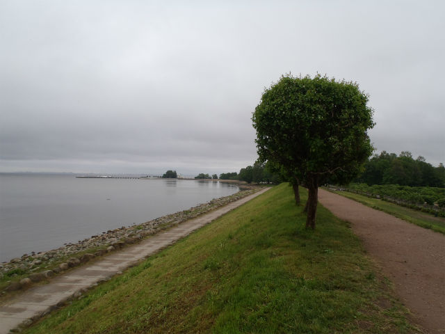 �뉀�ƃt�B�������h�p�͒Ⴂ��h�Ŋu�Ă���