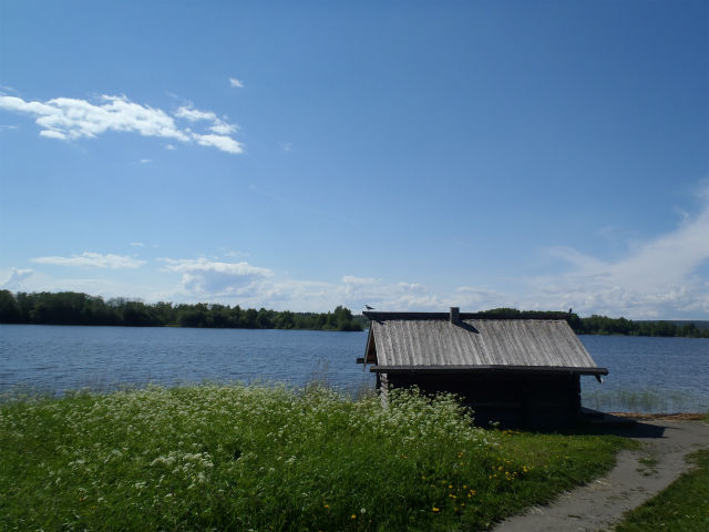 �I�l�K�΂ƁA��O�̏����̓T�E�i