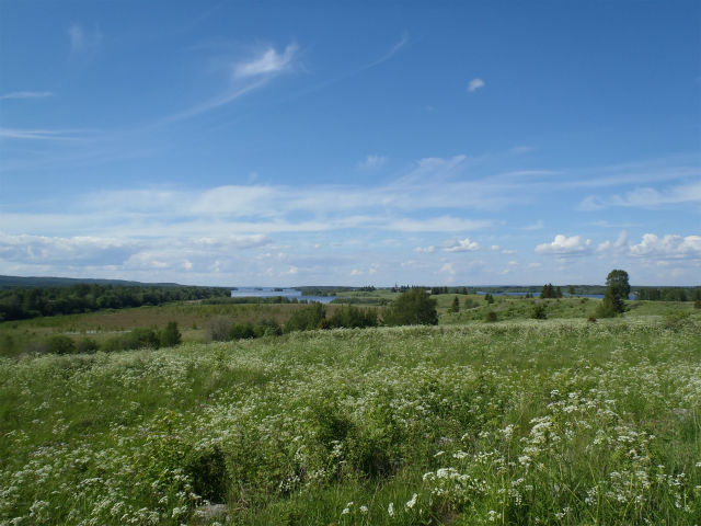 �X�ɓ��̖k����]�ށ@�����őދp