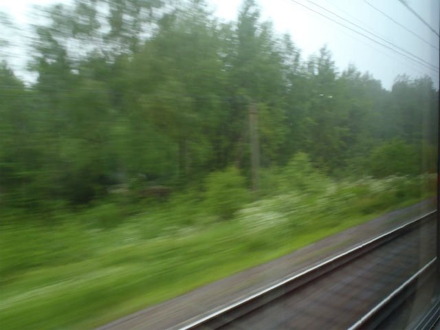 �T���N�g�͖ڑO�c�������i�F�ɐl�̋C�z���Ȃ�