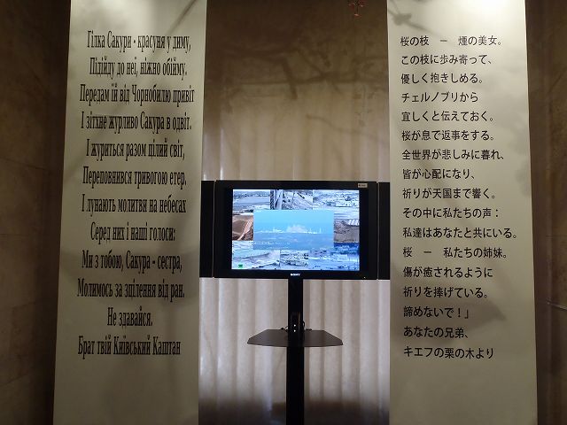 �����ɉf��̂�3.11�̌��i