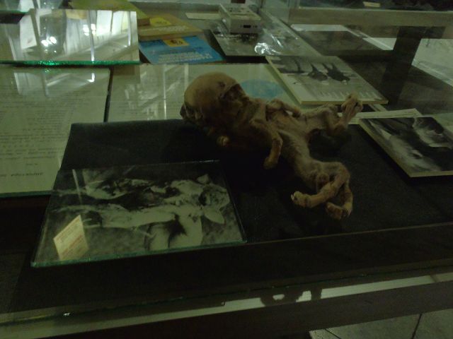 ��`���N�������e��